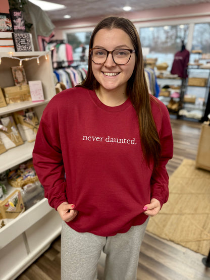 never daunted - embroidered sweatshirt