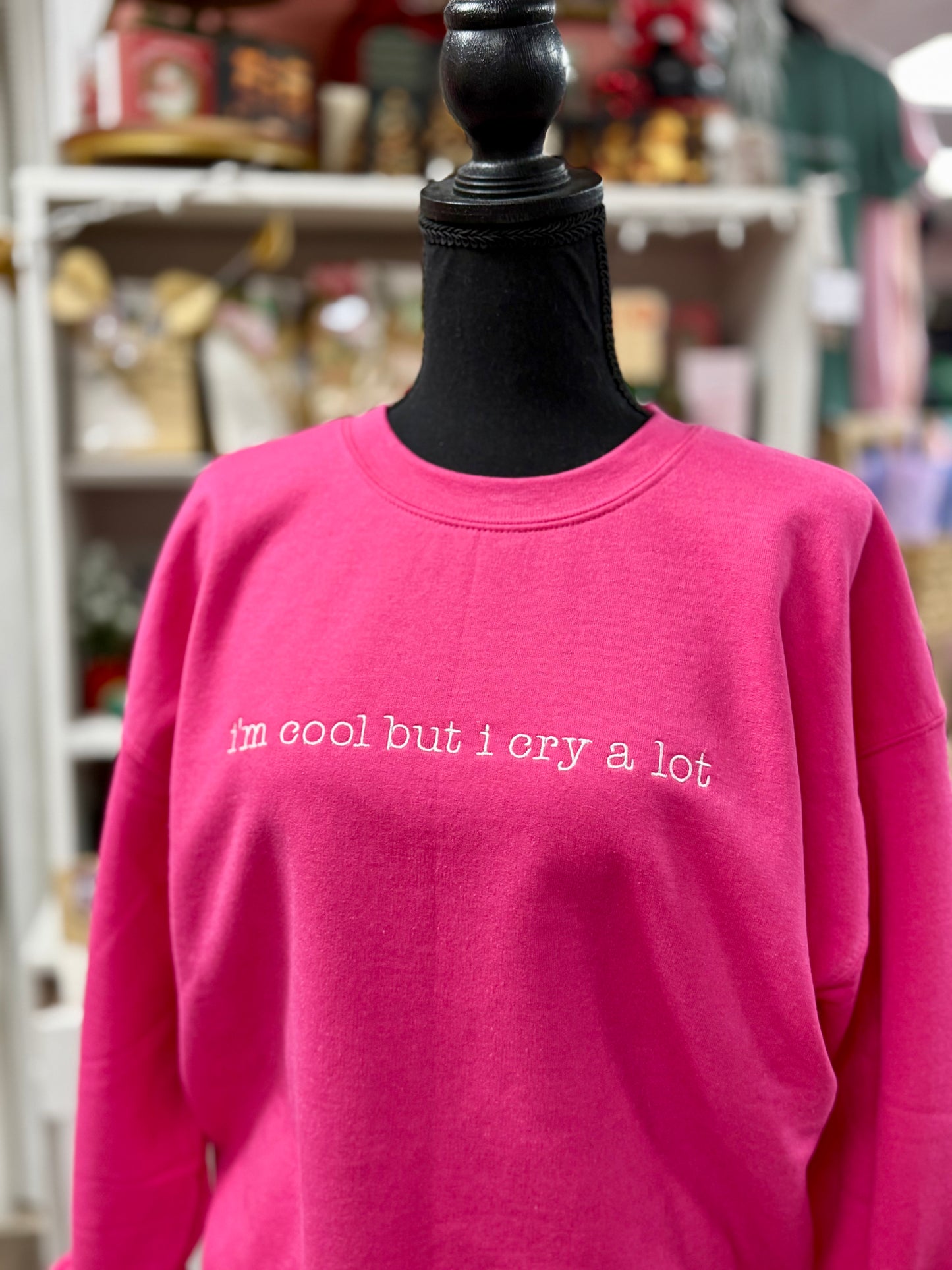 i’m cool but i cry a lot - embroidered sweatshirt