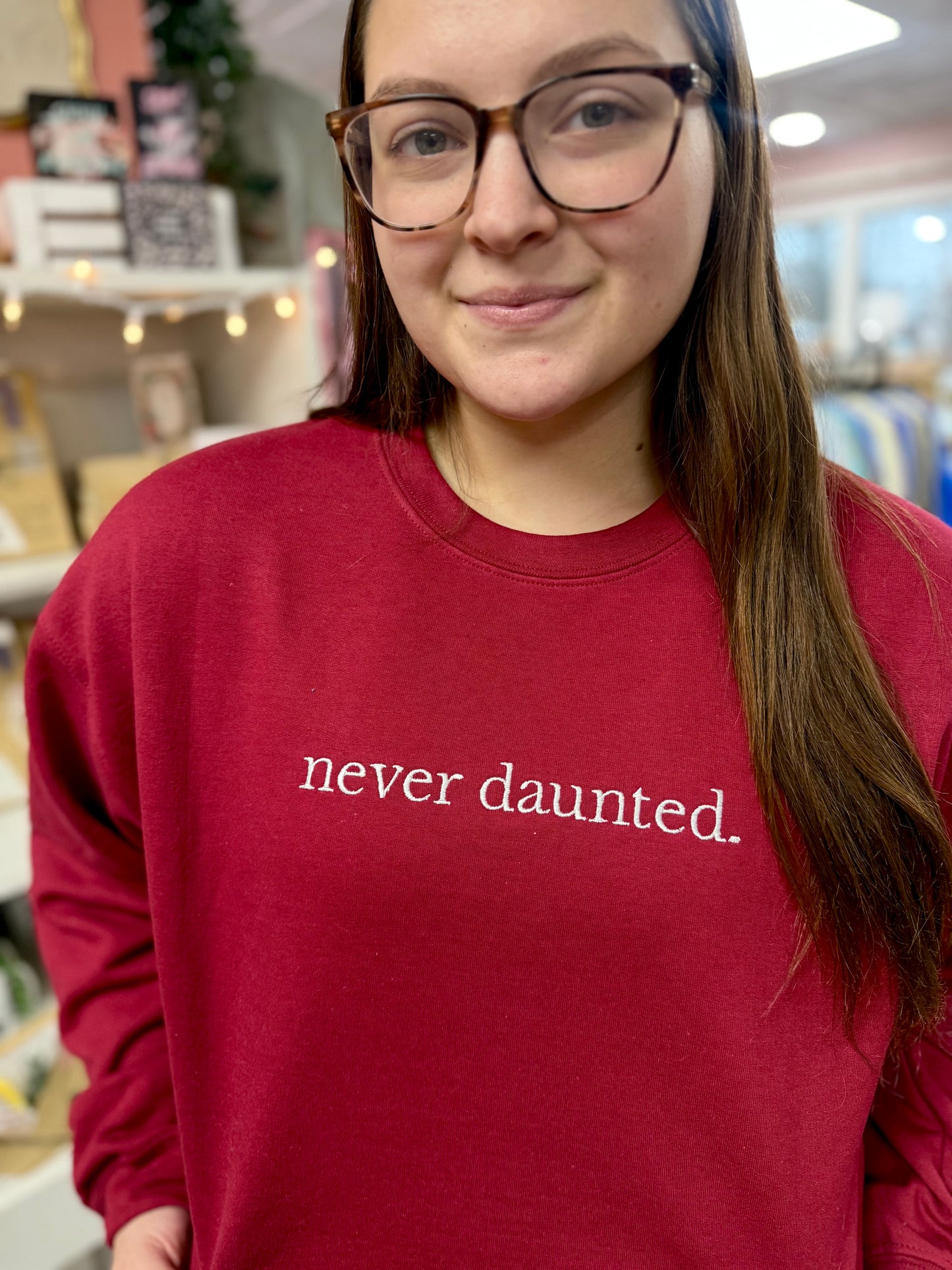 never daunted - embroidered sweatshirt