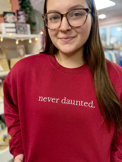 never daunted - embroidered sweatshirt