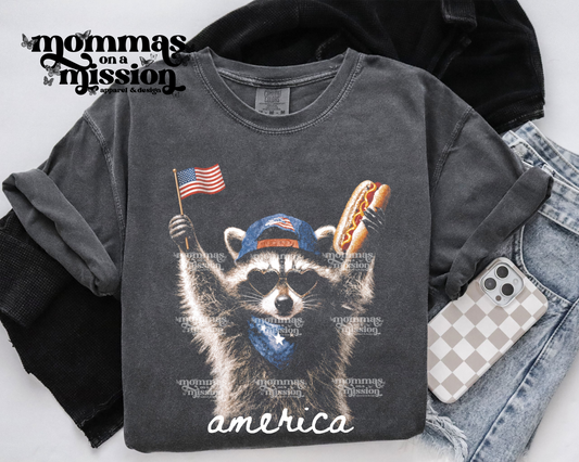 america raccoon (youth)