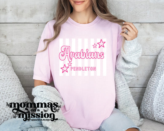 pendleton arabians pink preppy stripes
