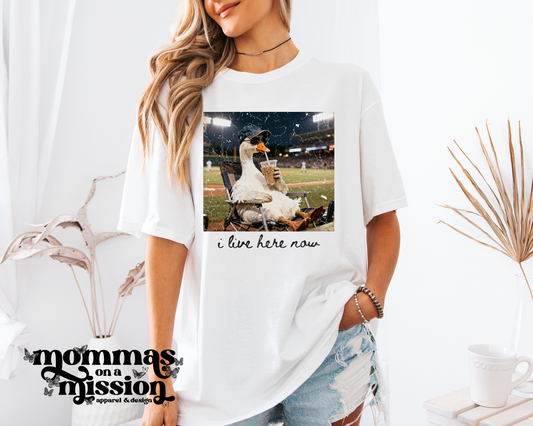 i live here now baseball goose