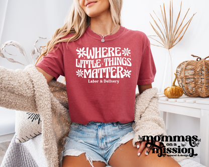 where little things matter - l&d nurse