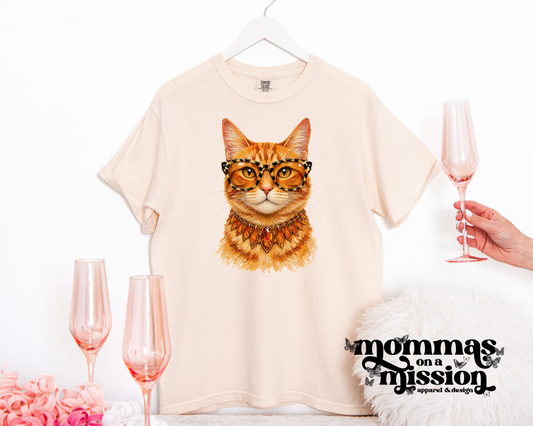 glam orange tabby cat - mango's miracles fundraiser