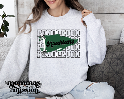 pendleton arabians stacked spirit flag (youth)
