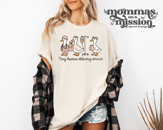 tiny human delivery service - baby nursing goose