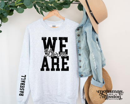 we are storm - baseball sleeve design